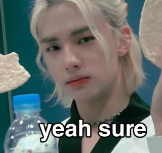 😑 yeah sure kpop, k-pop, hyunjin, straykids, skz, meme whatsapp sticker