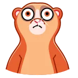 😖 loris, animal, cute, sticker, cartoon, eyes telegram sticker