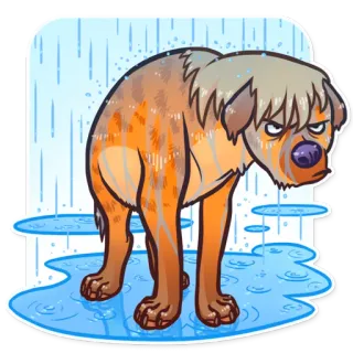 🌧 狗, 雨, 难过, 卡通, 贴纸, 动物 telegram sticker