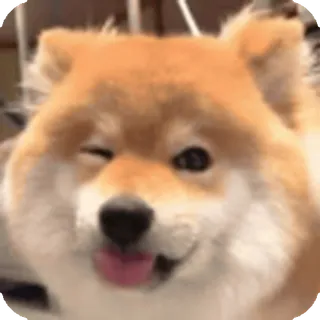 🌟
