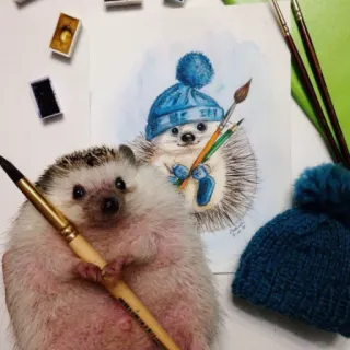 🦔 riccio, animale, acquerello, pittura, cappello, arte whatsapp sticker