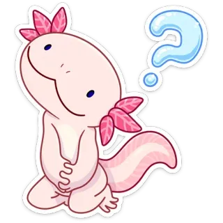 ❓ Axolotl, Frage, süß, Aufkleber, rosa, Tier telegram sticker