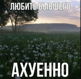 🥰 ЛЮБИТЬ БЫВШЕГО
АХУЕННО Natur, Text, Russisch, Liebe telegram sticker
