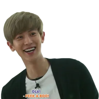 @jonafzan EXO telegram stickers