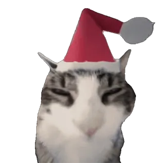 🎄 cat, christmas, santa hat, pet, holiday, animal whatsapp sticker