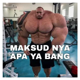 😎 MAKSUD NYA APA YA BANG muscle, bodybuilding, gym, fitness, meme telegram sticker