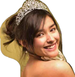 👱 woman, tiara, beauty, portrait, smile, brunette, crown, jewelry whatsapp sticker