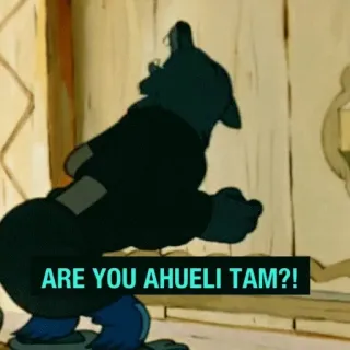 😡 ARE YOU AHUELI TAM?! telegram sticker