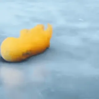 ✨ желтый, море, вода, на улице telegram sticker