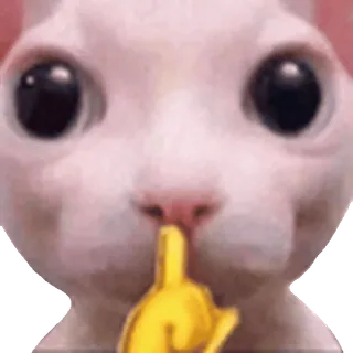 🤫