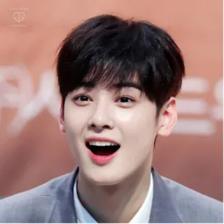 😃 Cha Eun-woo acteur, k-pop, chanteur, idole whatsapp sticker