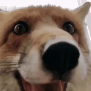 Больше стиков тут: @stikery4 whatsapp stickers