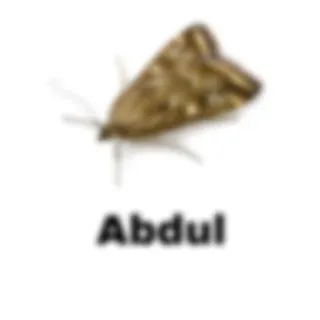 🦧 Abdul telegram sticker