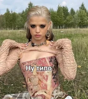 🌟 Ну типо woman, portrait, field, jewelry, russian text telegram sticker