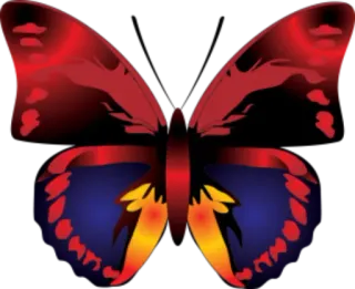 🐝 butterfly, insect, red, blue, wings whatsapp sticker