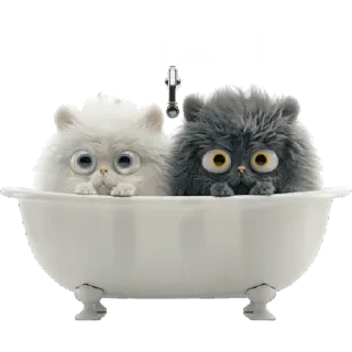 🧼 آرام باش koty, kocięta, kąpiel, słodkie, urocze, kot perski telegram sticker