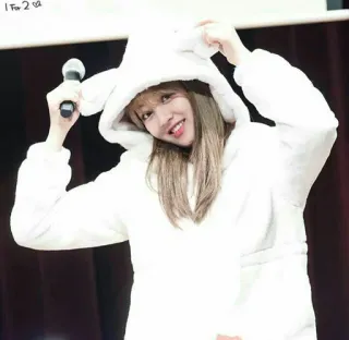 🦄 1 for 2 femme, costume de lapin, microphone, souriant(e), sweat à capuche telegram sticker