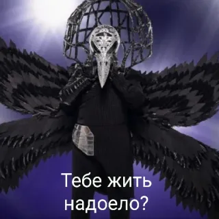 ☠️ The Masked Singer Тебе жить надоело? bird, russian, the masked singer, mask whatsapp sticker