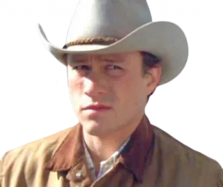 🤨 Vaquero, Western, Sombrero, Retrato, Persona, Campo, Rancho telegram sticker
