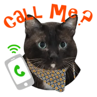 🤙 Katze, Handy, Tier, Haustier, Anruf telegram sticker