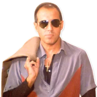 😎 Mann, Sonnenbrille, Goldkette, Schmuck, Männlich, Jacke, Stil, Mode telegram sticker
