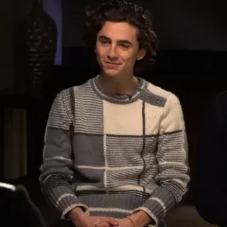 📯 Timothée Chalamet acteur, célébrité, pull, portrait, homme telegram sticker
