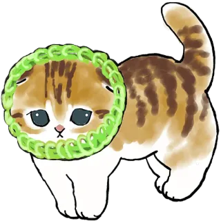 🥅 猫, 小猫, 动物, 宠物, 可爱, 苏格兰折耳猫 telegram sticker