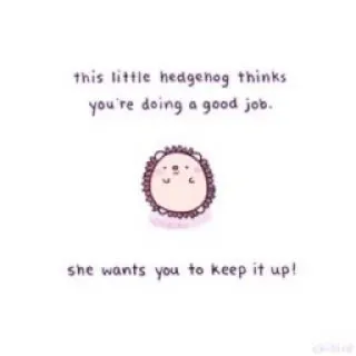 🐝 this little hedgehog thinks
you're doing a good job.
she wants you to keep it up! ёж, поддержка, милый, позитив, животное, поддержка, молодец whatsapp sticker