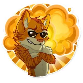 💥 chat, lunettes, cool, animal, dessin animé whatsapp sticker