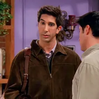 🤨 Ross Geller Friends ross, friends, série tv, sitcom, david schwimmer, années 90, personnage whatsapp sticker