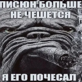 😜 ПИСЮН БОЛЬШЕ НЕ ЧЕШЕТСЯ
Я ЕГО ПОЧЕСАЛ 狗, 雪茄, 吸烟, 俄文, 冒犯, 笑话, 梗 telegram sticker
