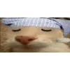 😴