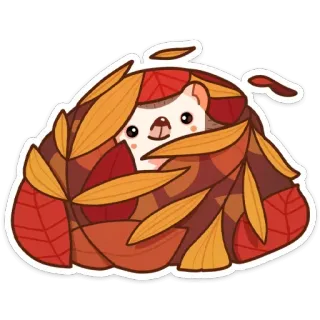 🍂 เม่น, ใบไม้, ฤดูใบไม้ร่วง, ฤดูใบไม้ร่วง, น่ารัก, สัตว์ telegram sticker
