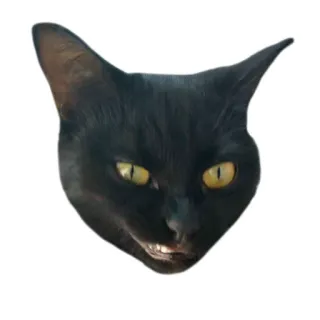 😸 gato, animal, gato negro, miedo, Halloween telegram sticker
