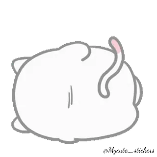 🐱 кот, котенок, животное, милый, питомец, очаровательный whatsapp sticker