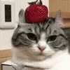 🍓
