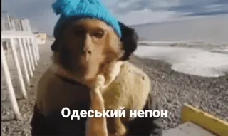 🌊 Одеський неpon telegram sticker