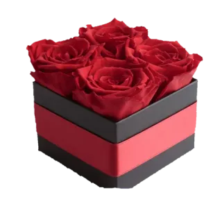 🌺 Rosen, Blumen, Rot, Strauß, Geschenk, Arrangement, Box telegram sticker