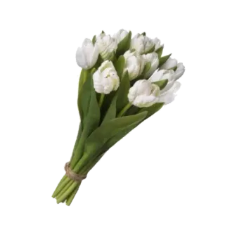 🌷 bloemen, tulpen, boeket, wit, bloemen, natuur, planten telegram sticker