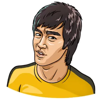 🤔 Bruce Lee arts martiaux, Bruce Lee, acteur, combattant whatsapp sticker