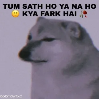 🥀 TUM SATH HO YA NA HO
😊 KYA FARK HAI 🌹 doge, cheems, meme, tiếng Hindi, hoa hồng, chó, vui nhộn telegram sticker