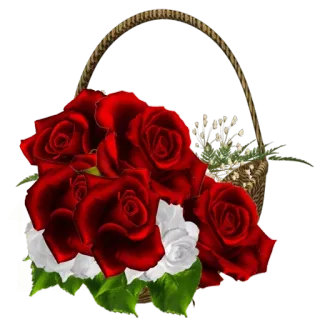 🌹 flower, rose, bouquet, basket, red, white, flowers, floral whatsapp sticker