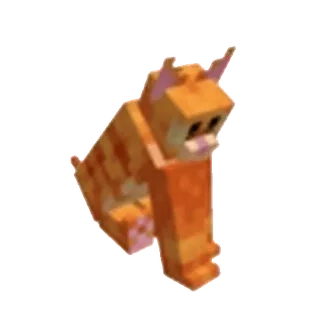 🐈
