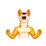 💪
