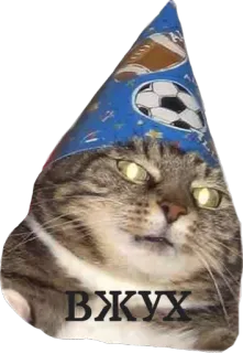 🙌 Вжух Katze, Zauberer, Meme, Lustig, Tier, Magie telegram sticker