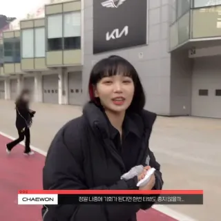 🐯 Chaewon 정말 나중에 기회가 된다면 한번 타봐도 좋지 않을까... telegram sticker
