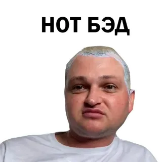 👍 НОТ,БЭД telegram sticker