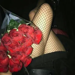 🌹 rose, calze a rete, gambe, fiori, bouquet, romanticismo telegram sticker