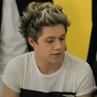 🌙 Niall Horan Niall Horan, Sänger, Promi, One Direction, Popstar telegram sticker