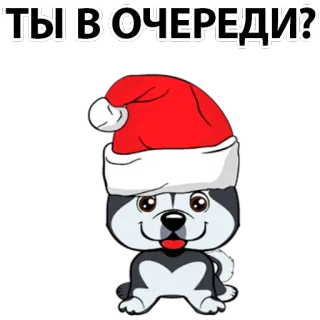 Dog @stickersb2b telegram stickers